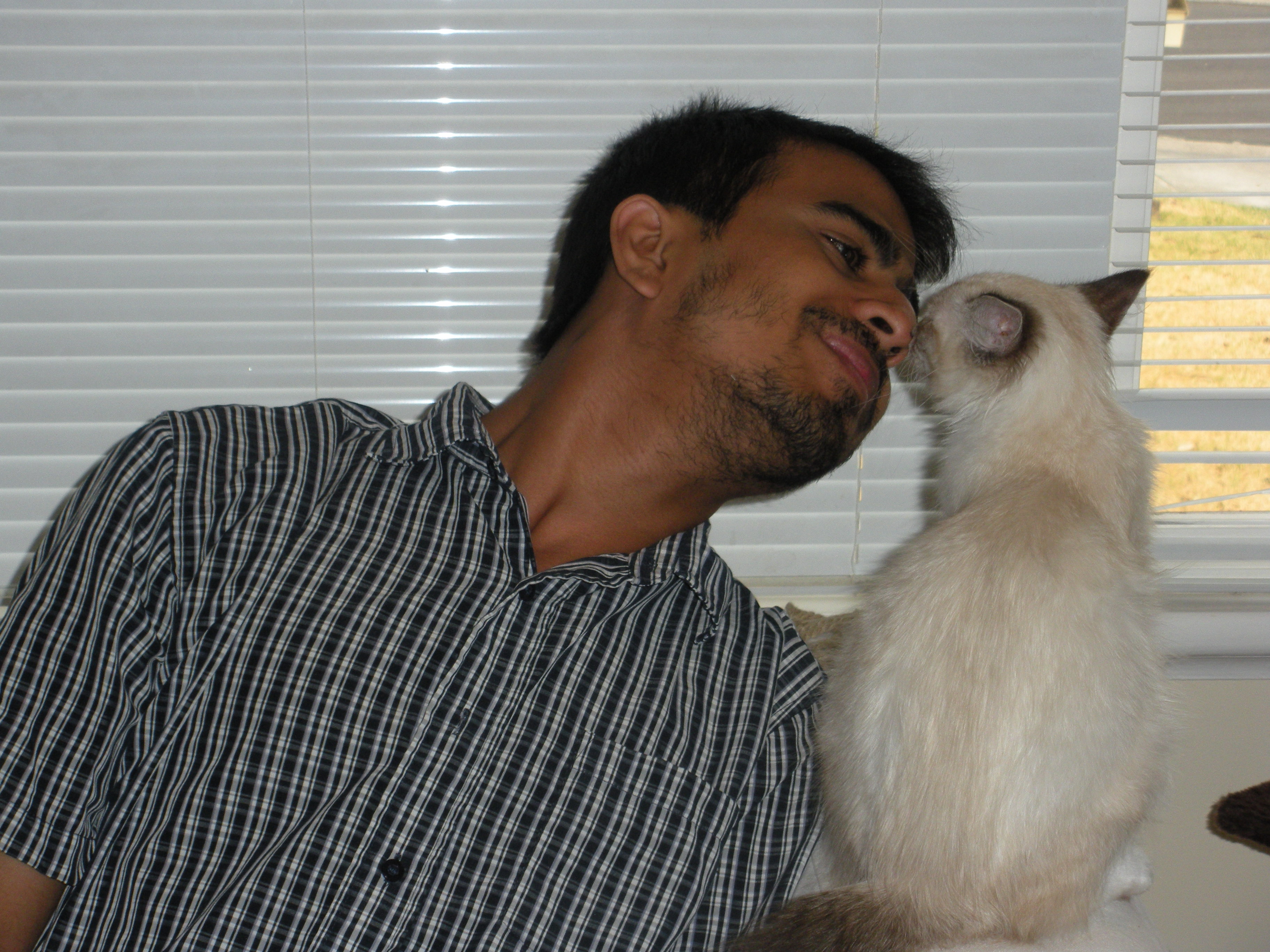 sherkhan rubbing nosey with papa